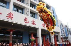 醒狮贺岁，半岛平台在线登入-半岛(中国)2019年开工大吉